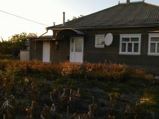 Vindem 2 case la Colicauţi, raionul Briceni   продаются 2 дома в Коликауцах, Бричанский район. foto 3