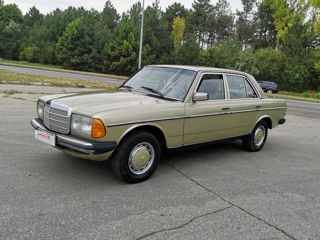 Mercedes123 foto 3