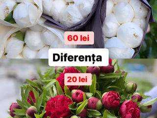 Bujori la doar 15 lei/buc si multe alte flori in asortiment!  В наличии пионы! foto 4