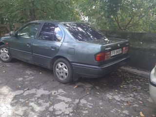 Nissan Primera foto 3