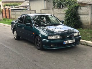 Nissan Primera foto 8