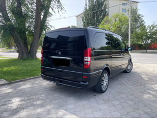 Mercedes Viano foto 3