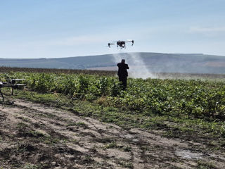Stropire Agricolă Profesională cu Drone Agricole/ Профессиональное Опрыскивание Полей Агро Дронами  foto 5
