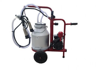 Aparat de muls Vepemir (1 post Inox/1 bidon 30l. ) -credit-livrare
