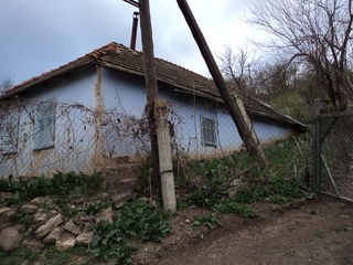 Casa la Nistru.Speia, Anenii Noi foto 4