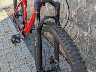 Specialized Epic Hardtail foto 4