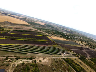 Spre vinzare teren agricol Orhei; zona Chateau Vartely; foto 2