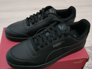 Puma originali