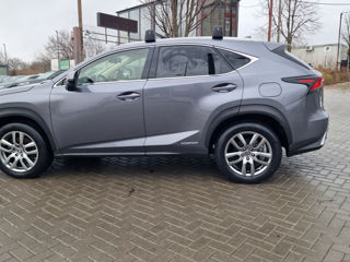 Lexus NX Series foto 3