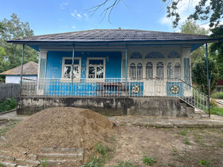 Casa cu cel mai bătrân stejar din Ungheni