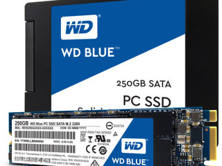 SSD Western Digital Blue - 120Gb / 240Gb / 480Gb / 500Gb / 1 Tb