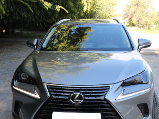 Lexus NX Series