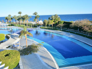 Egypt! "Monte Carlo Sharm Resort & Spa" 5*! foto 10