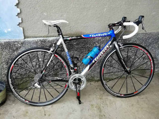 Bicicleta Wilier IT Carbon