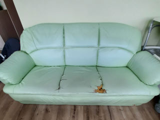 Canapea din piele Кожаная мебель