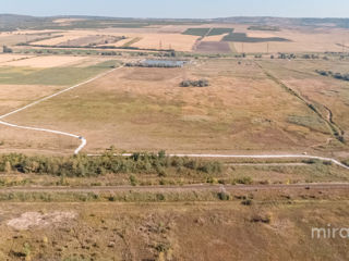 Se vinde teren agricol! Strășeni foto 8