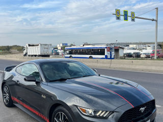 Ford Mustang foto 5