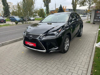 Lexus NX Series