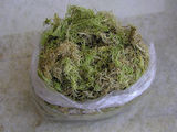 Мох сфагнум, Сфагнум Мох, торфянной мох, мох в кишиневе, мох в молдове, мох для растений foto 1