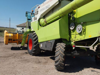 Claas Mega 360 Heder de porumb комбаин и жатка для кукурузы foto 9