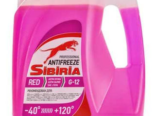 Antigel Sibiria Antifreeze G12 foto 3