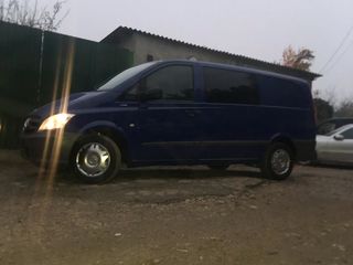 Mercedes Viano foto 9