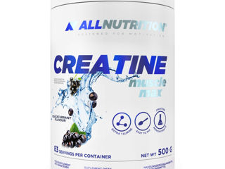 Creatine 500g