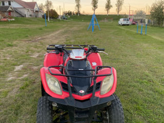 Kymco MXU 250 foto 3