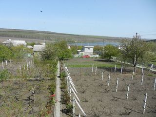 Se vinde lot pomicol 12 ari, Mereni, r-l Anenii Noi, lîngă lacul "Macsimovca", 11 km din Chișinău foto 1