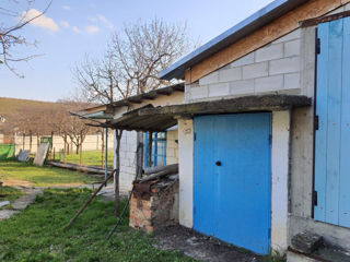Casa 25 ari satul Pojăreni Pojareni Pojereni foto 5