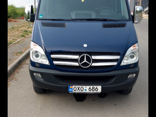 Mercedes 519 foto 5