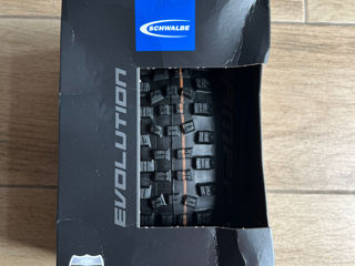 schwalbe hans dampf foto 2