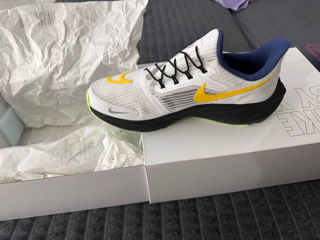 Ghete Nike Pegasus Fly Ease foto 1