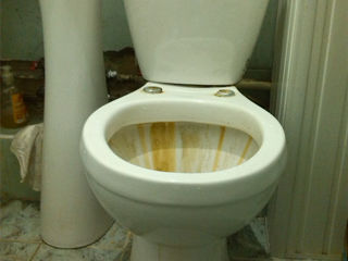 Viceu cu vas / напольный унитаз с бочком foto 0