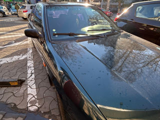 Nissan Primera foto 8