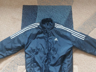 Scurta Adidas de toamna, iarna, primăvara