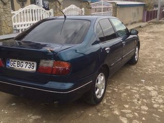 Nissan Primera foto 5