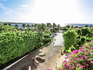 Sultan Gardens Resort 5* Sharm El Sheikh. Отличный отель за умеренную плату! foto 8