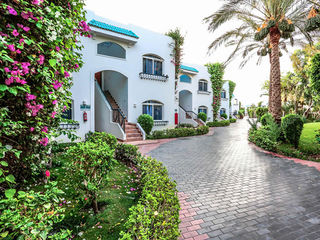 Sultan Gardens Resort 5* Sharm El Sheikh. Отличный отель за умеренную плату! foto 7
