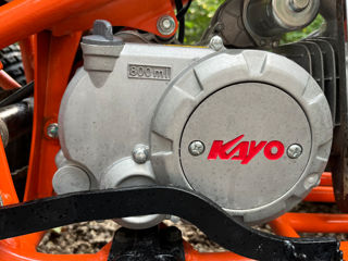 Kayo Kayo storm 125 foto 6