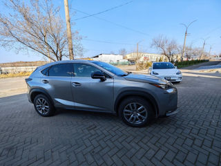 Lexus NX Series