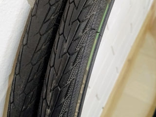 Велосипедные покрышки SCHWALBE ROAD CRUISER foto 3