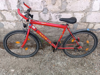 Bicicleta Ragazzi