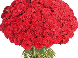 Букеты из роз на 14 февраля. Большой выбор букетов из свежих цветов с доставкой! foto 4