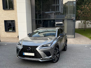 Lexus NX Series foto 1