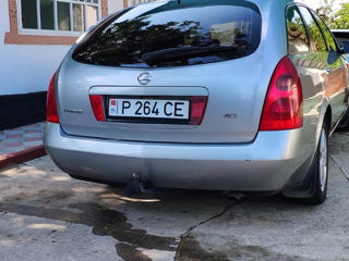 Nissan Primera foto 6