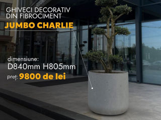 Ghiveci jumbo charlie / jardinieră / горшок / plante mari foto 7