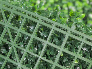 Panouri decorative artificiale / Декоративные зеленые панно foto 4