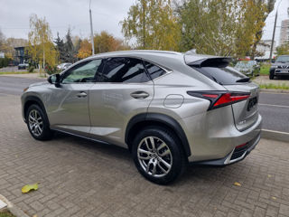 Lexus NX Series foto 8