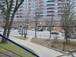new-user-21132